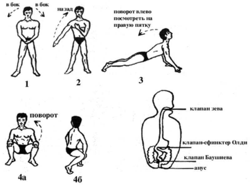 Подготовка преподавателей хатха йоги. курс