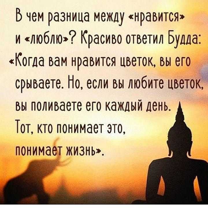 Свами даши
