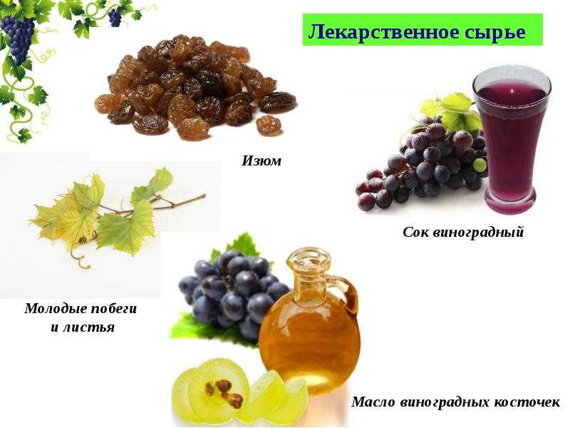 Польза и вред виноградного сока для организма | польза и вред