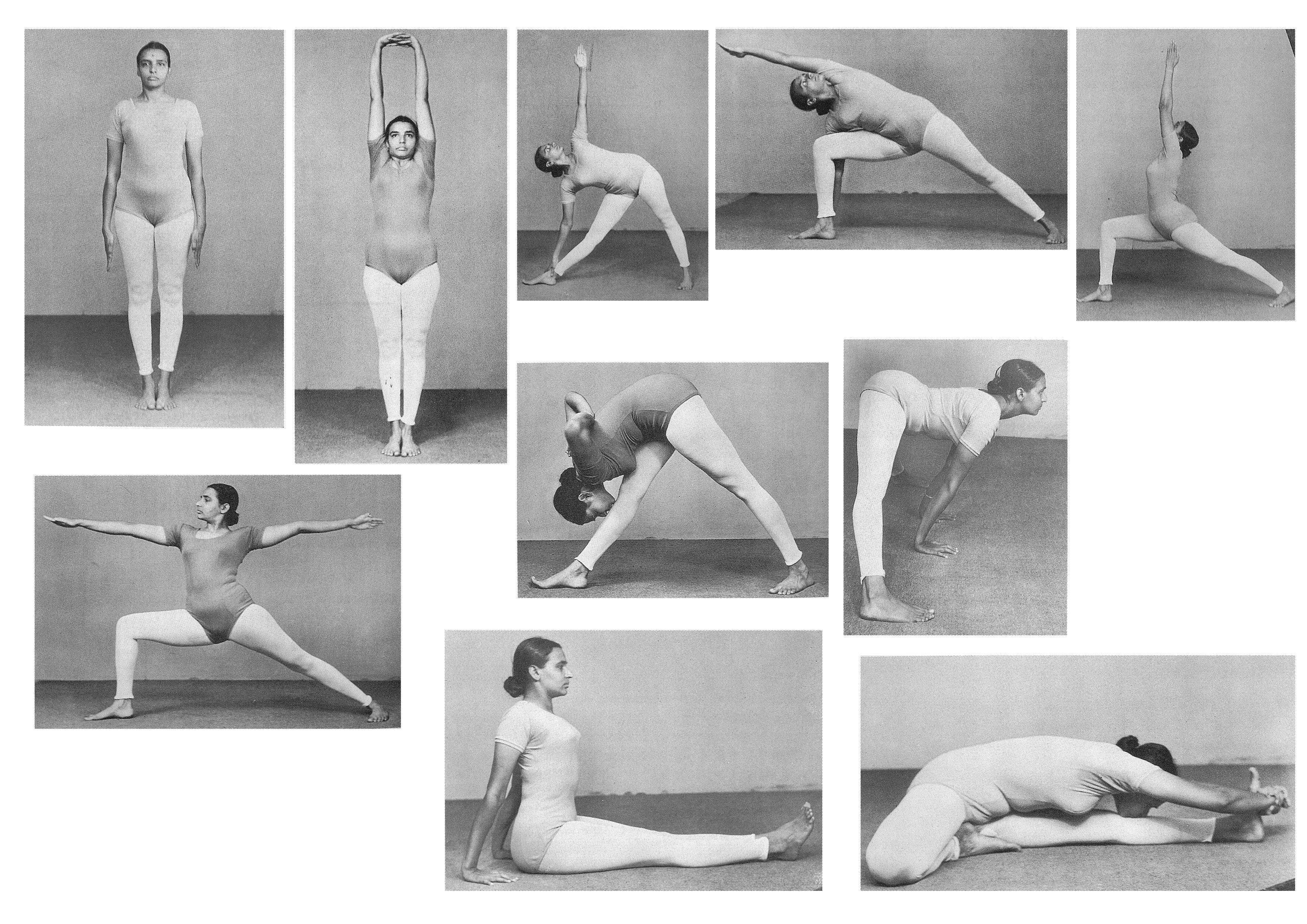 Йога айенгара: особенности, отличия, правильная практика, асаны для начинающих