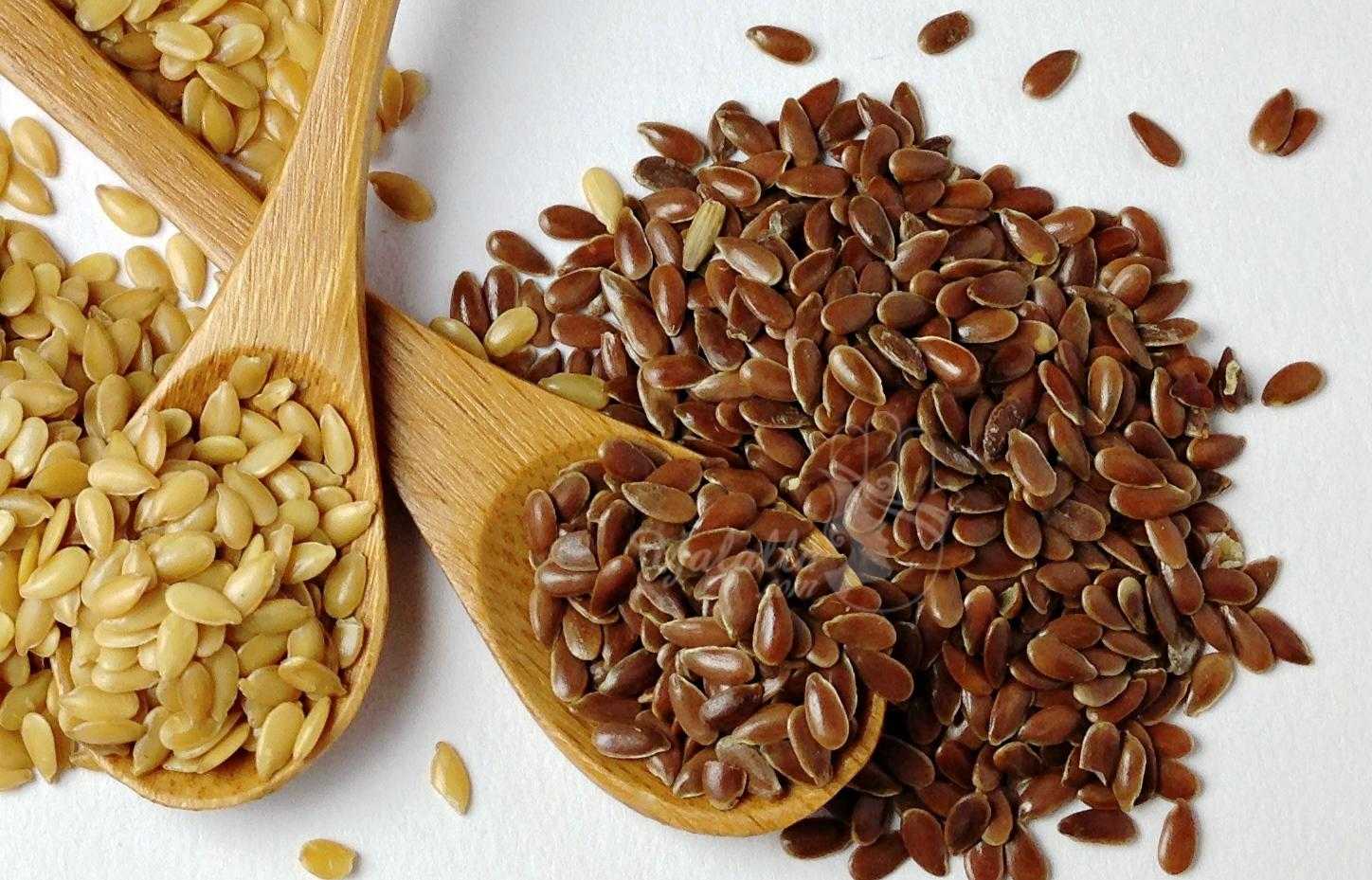 Льняное семя: польза и вред для организма | food and health