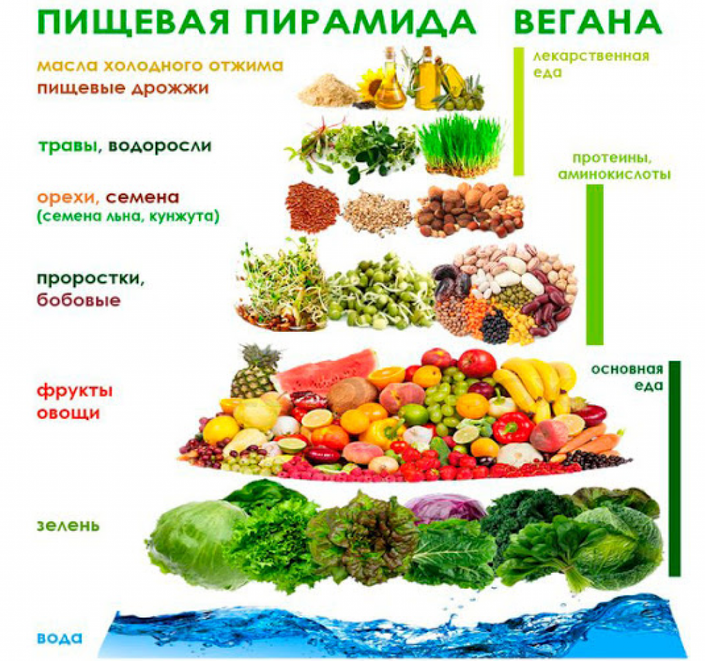 С чем можно есть мясо. Вегетарианская пирамида питания. Вегетарианство рацион питания. Список вегетарианских продуктов. Пищевая пирамида сыроеда.
