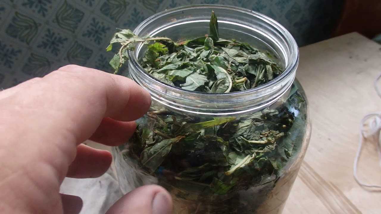 Иван-чай ферментированный по старинному рецепту