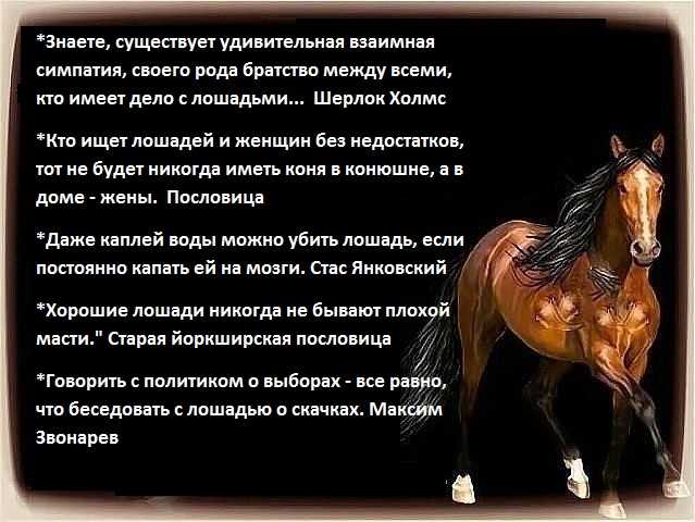 Притча о лошади