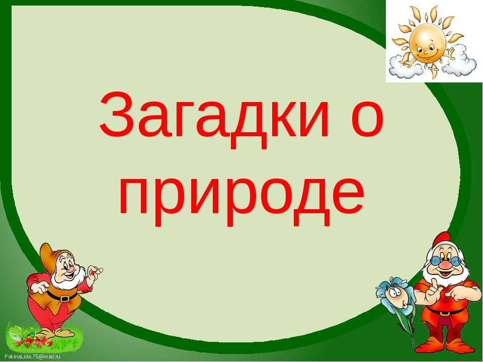 Страничка по экологии загадки кроссворды. экологическая игра «загадки природы»